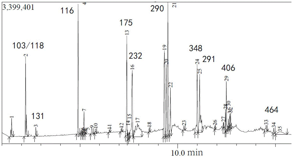 Catalytic rearrangement preparation method of polycarbosilane