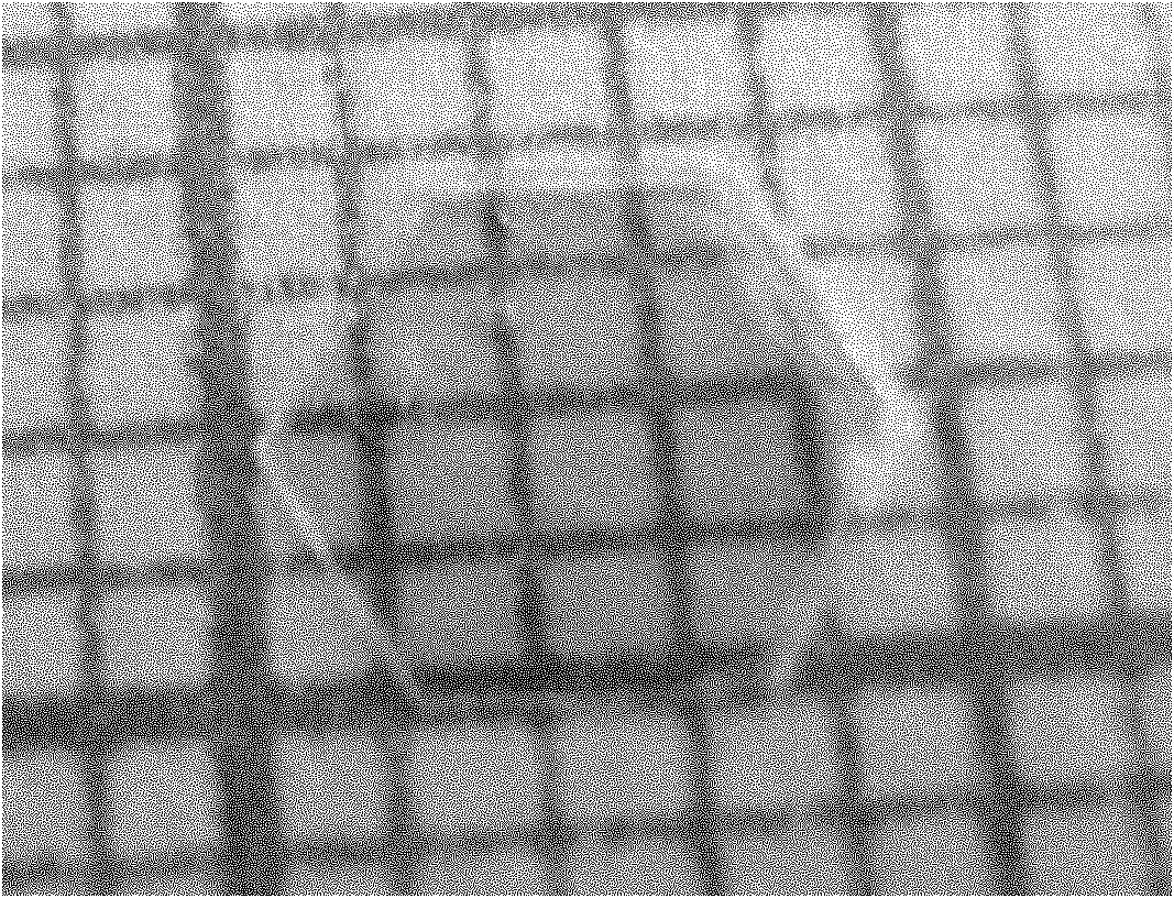 Method for growing zinc oxide monocrystalline under hydrothermal condition by utilizing mineralizer