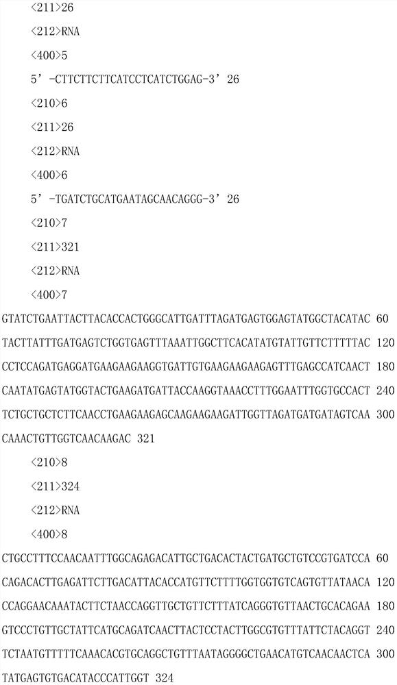 Reagent and detection method for detecting D614G mutant of SARS-COV-2 virus