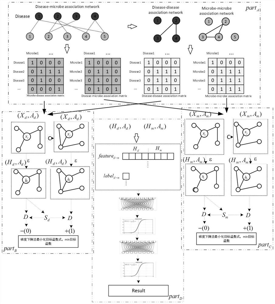 Disease-microorganism association prediction system based on projection and comparative learning