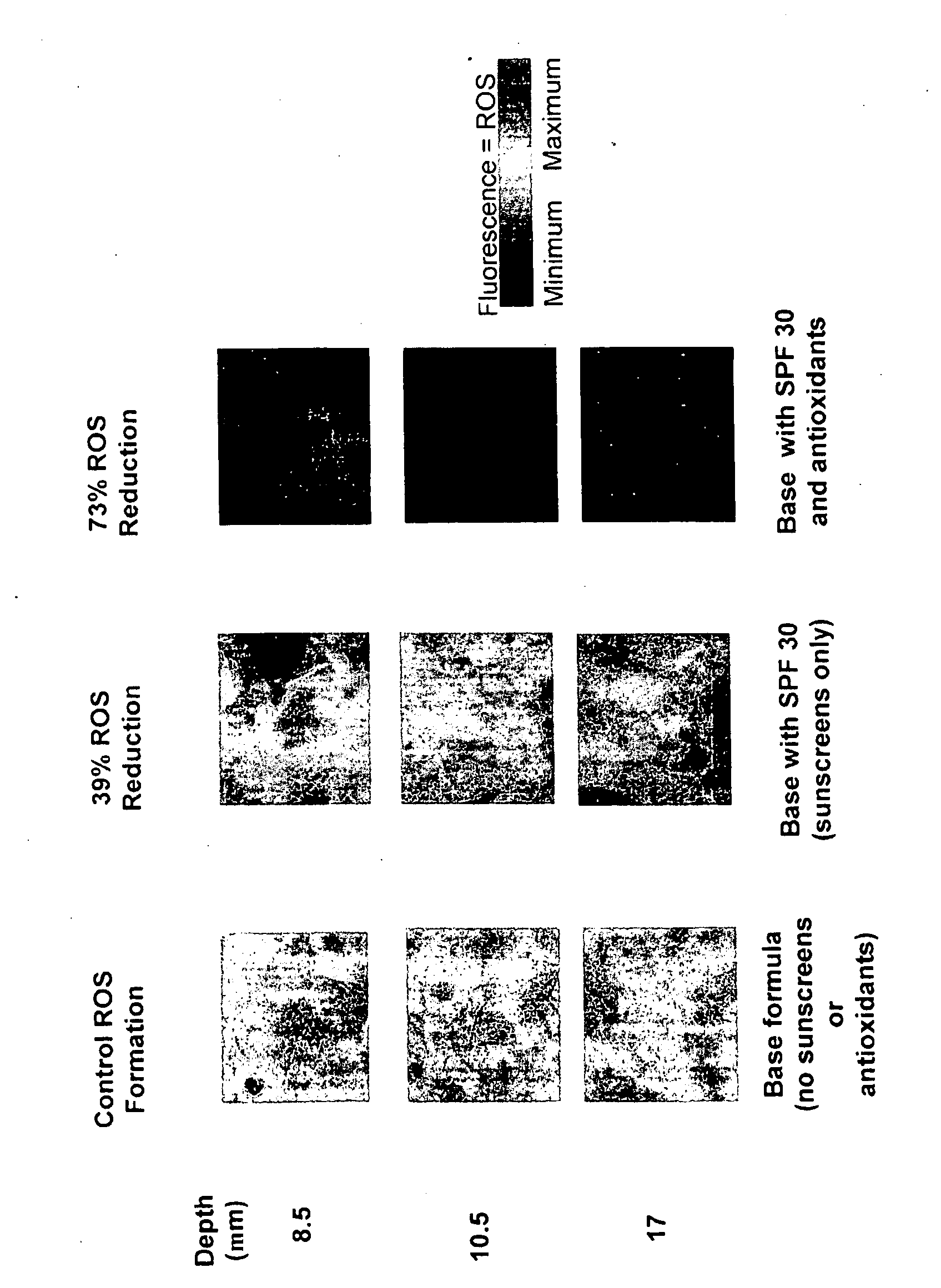 Method of selecting antioxidants for use in topically applied compositions