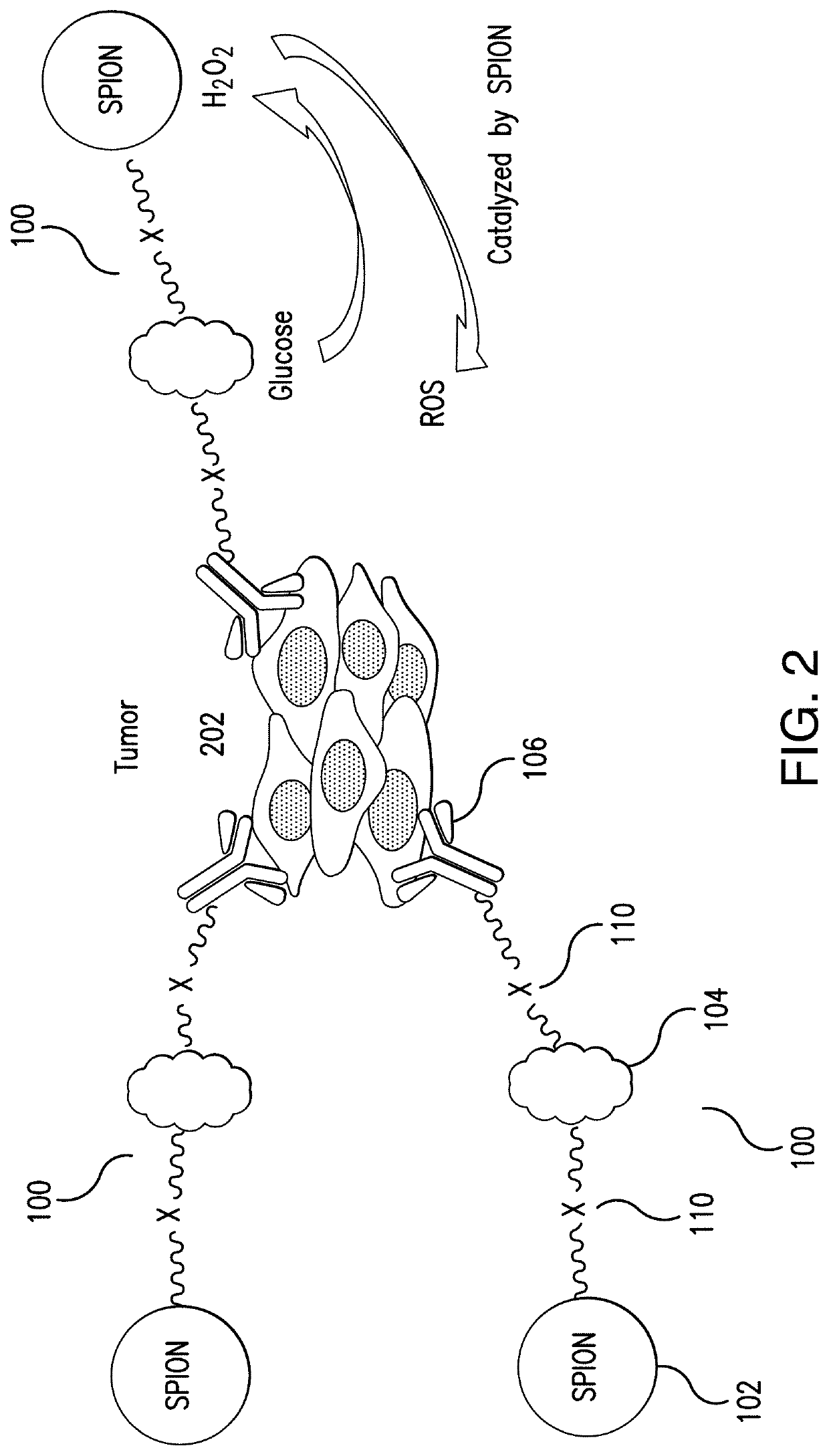 Glucose oxidase-nanoparticle bioconjugates for cancer treatment and uses thereof