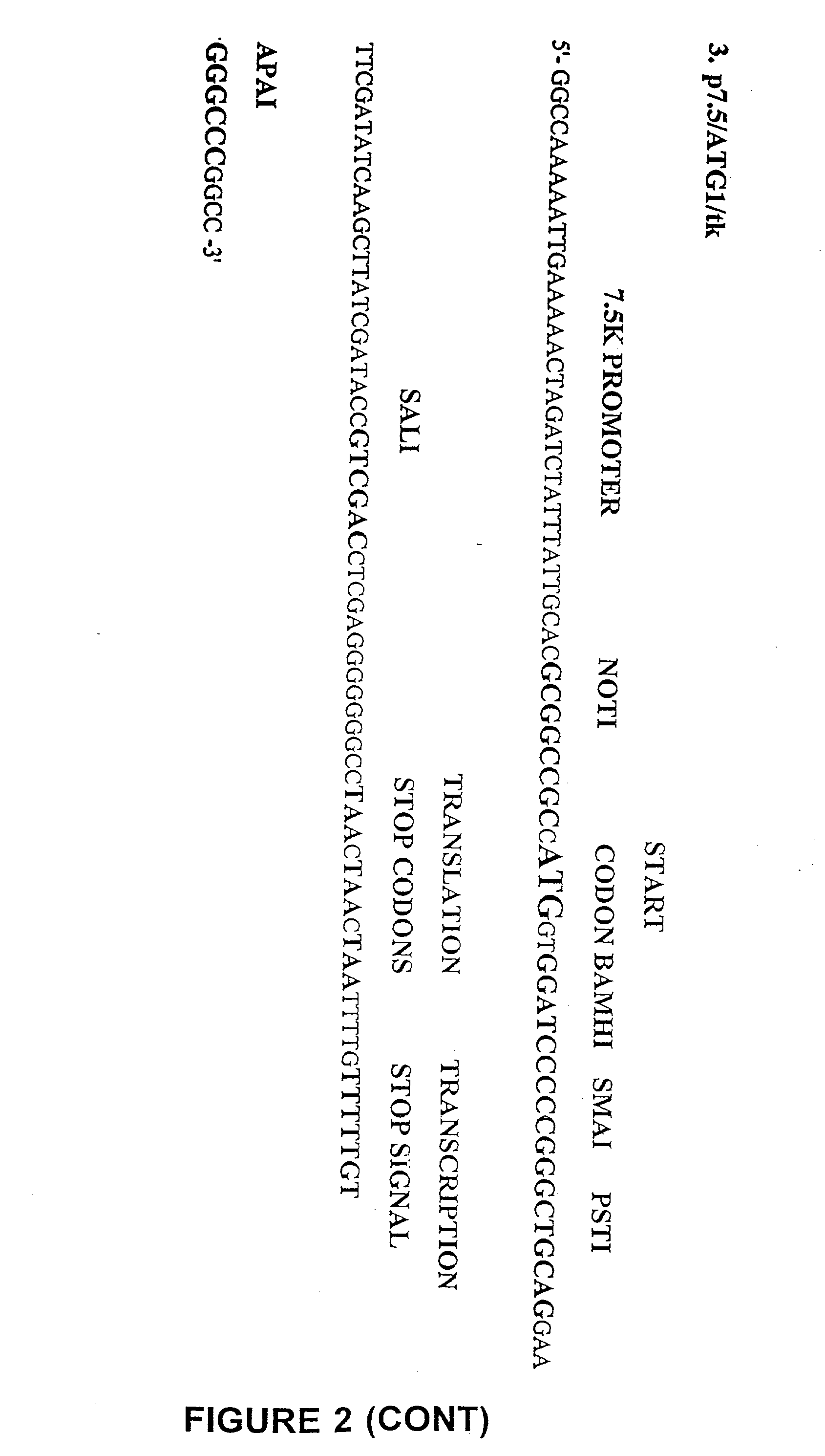 T cells specific for target antigens and methods and vaccines based thereon