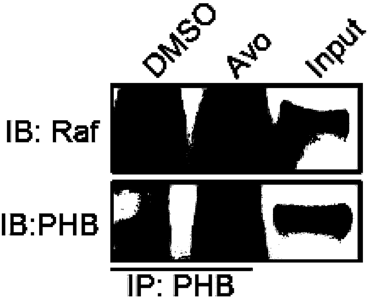 Application of avobenzone in preparing antitumor drugs