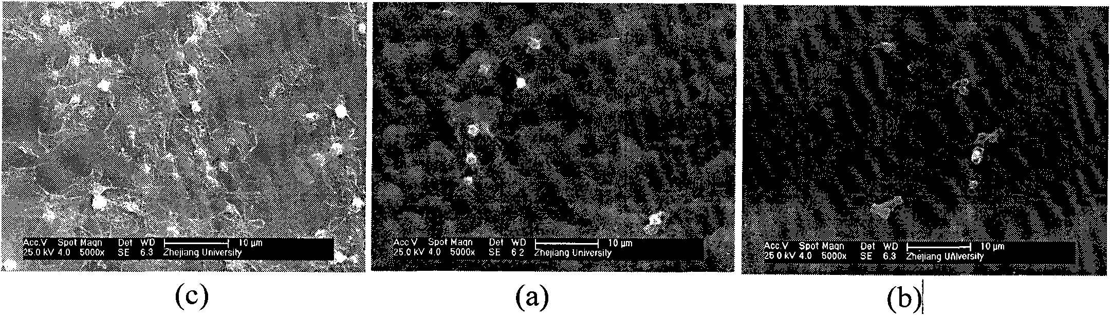 Cardiovascular stent coating material with endothelial cell selectivity and preparation and application method thereof
