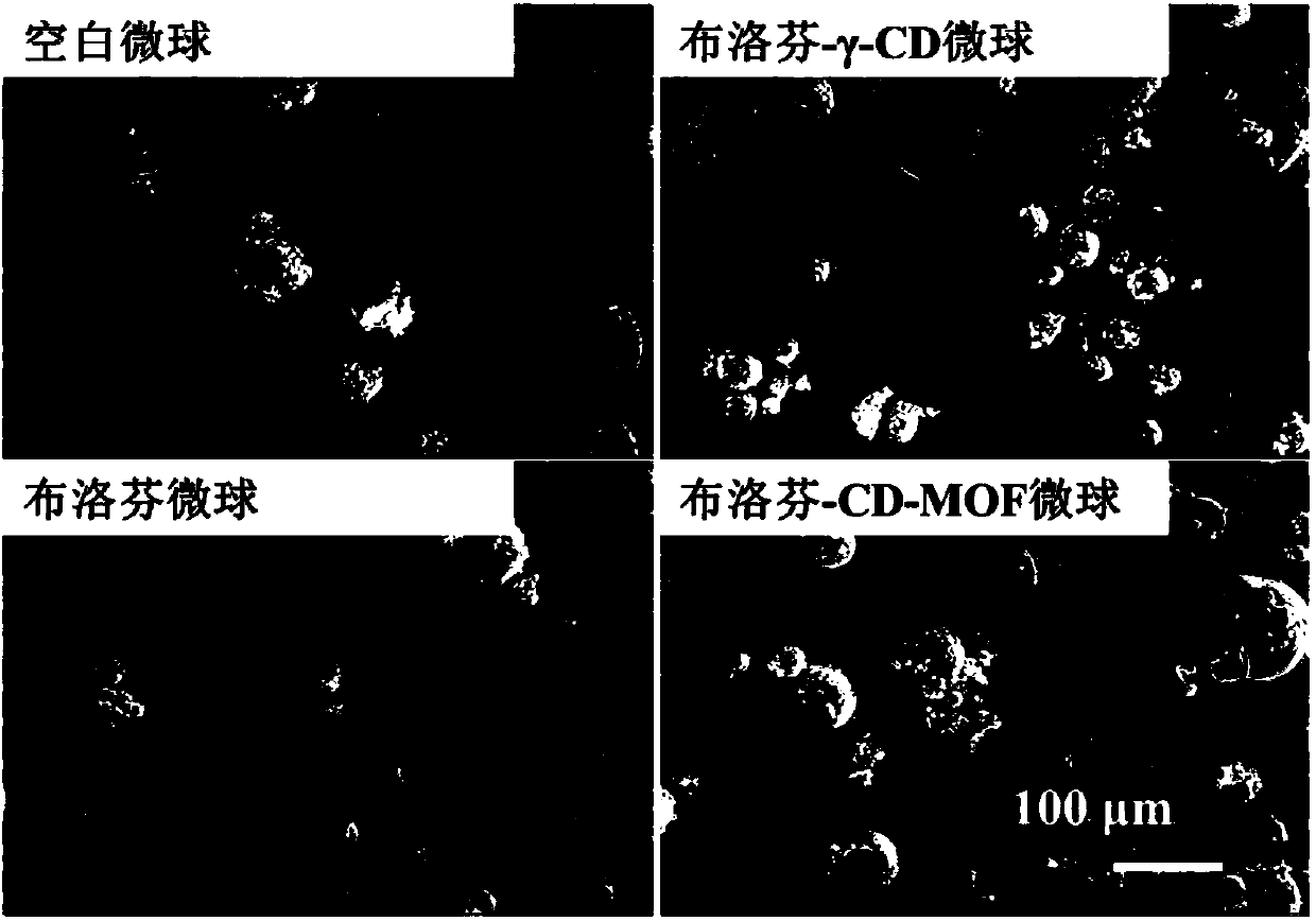 Cyclodextrin-metal organic framework (CD-MOF) composite microsphere and preparation method thereof