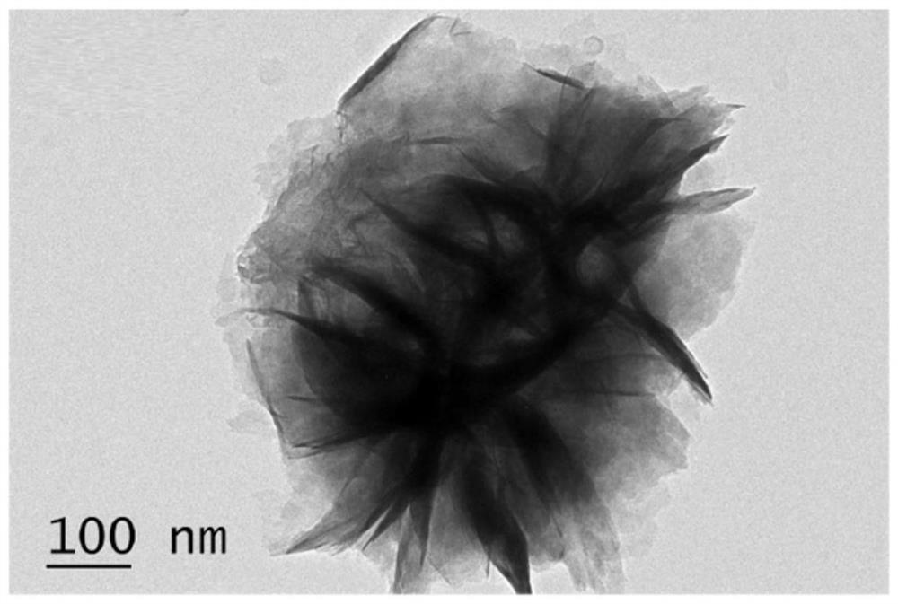 A direct z-type heterojunction photocatalyst that can be used to split water and its preparation method