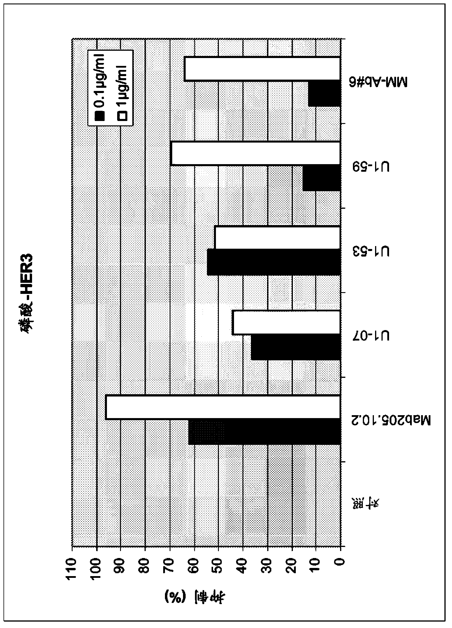 Anti-HER3 antibodies and uses thereof