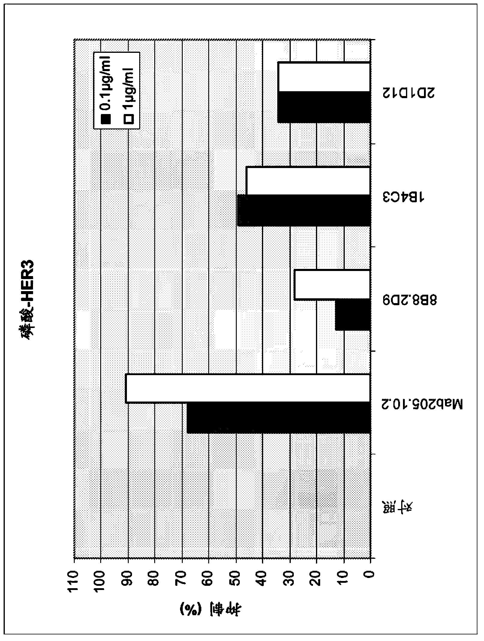 Anti-HER3 antibodies and uses thereof