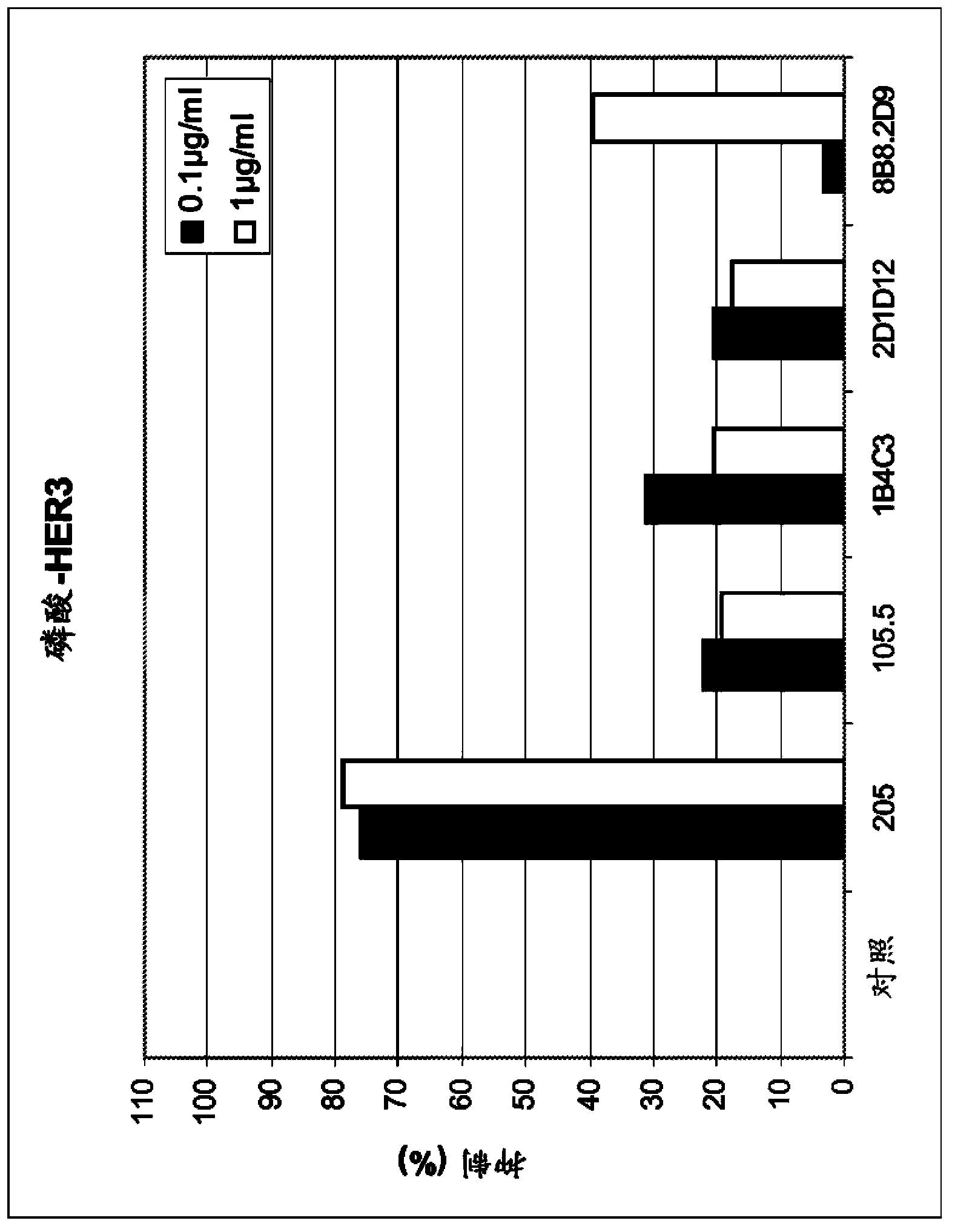 Anti-HER3 antibodies and uses thereof