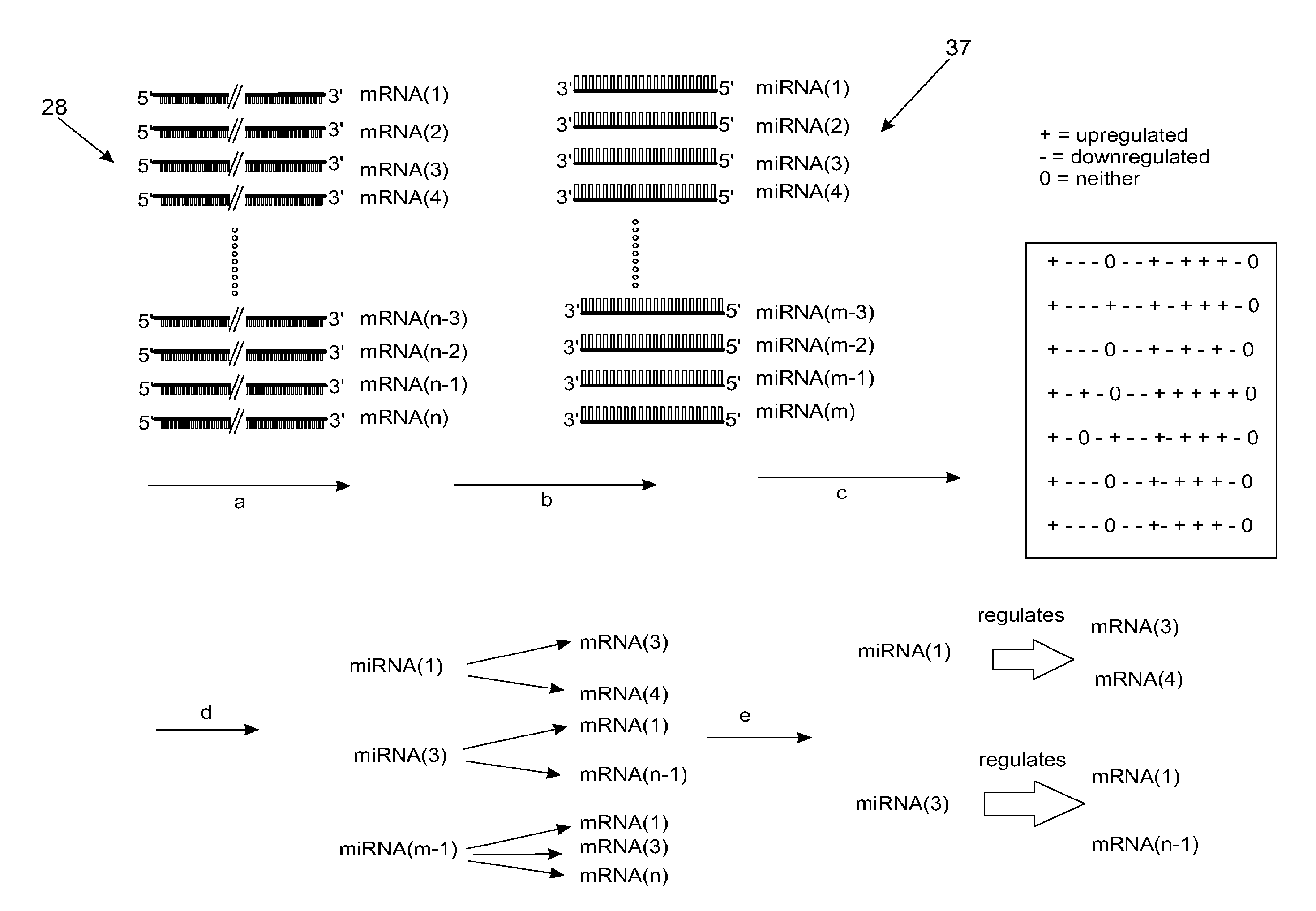 Mirfilter:  efficient noise reduction method to identify mirna and target gene networks from genome-wide expression data