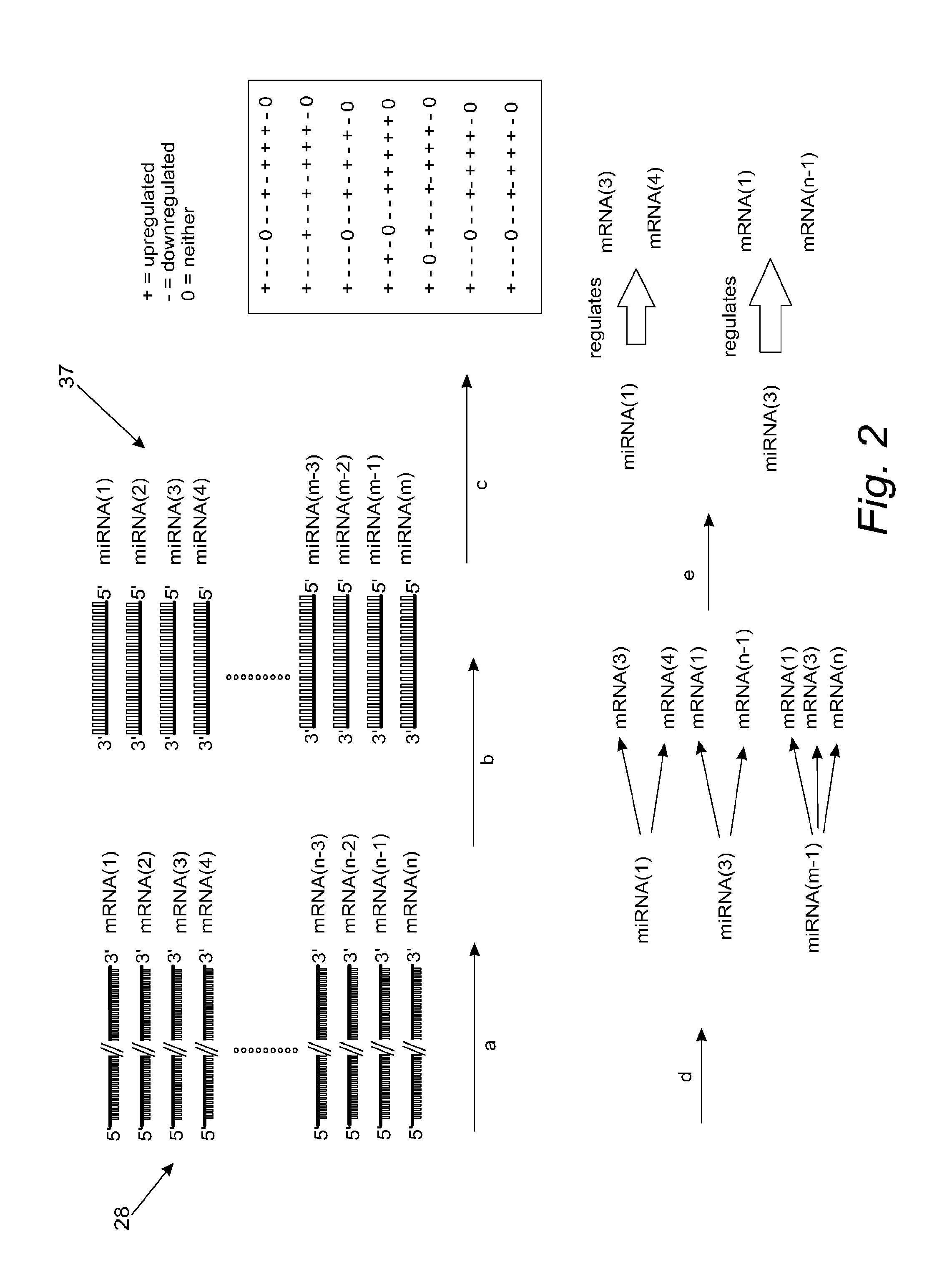 Mirfilter:  efficient noise reduction method to identify mirna and target gene networks from genome-wide expression data