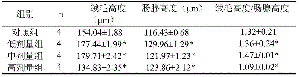 Wheat arabinoxylan extract capable of regulating intestinal functions and preparation method of wheat arabinoxylan extract