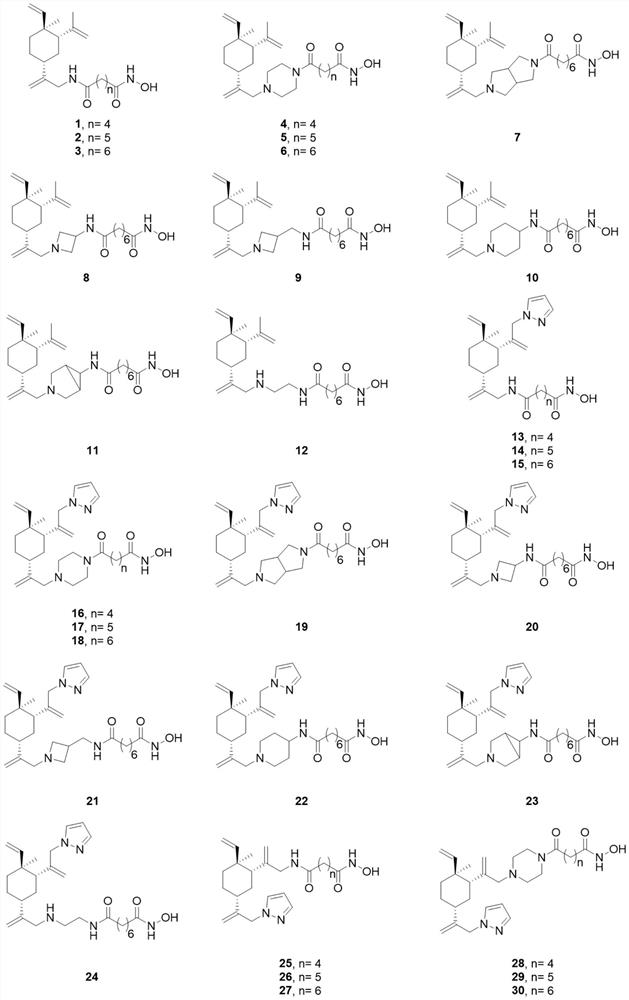 Beta-elemene derivative with HDACi pharmacophore as well as preparation method and application of beta-elemene derivative