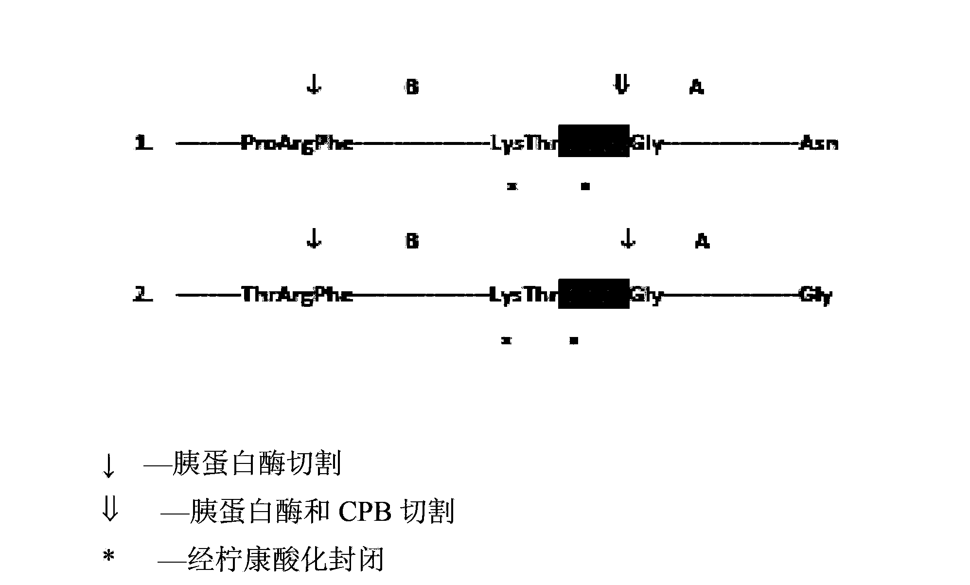 Preparation method of insulin