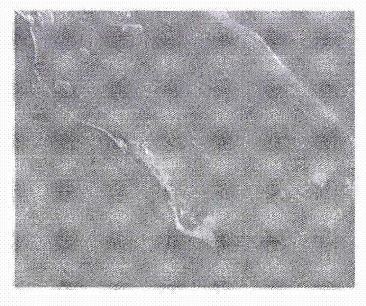 Nanometer composite gel dressing containing baicalin and soapstone and preparation method for nanometer composite gel dressing