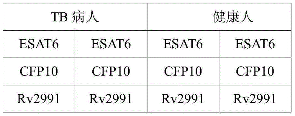Mycobacterium tuberculosis Rv 2991 recombinant protein, preparation method and application of mycobacterium tuberculosis Rv 2991 recombinant protein