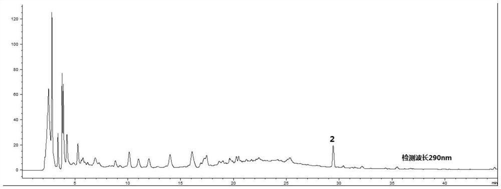 Establishment method of correlation feature fingerprints of chemical small molecule components of Dendrobium fringe