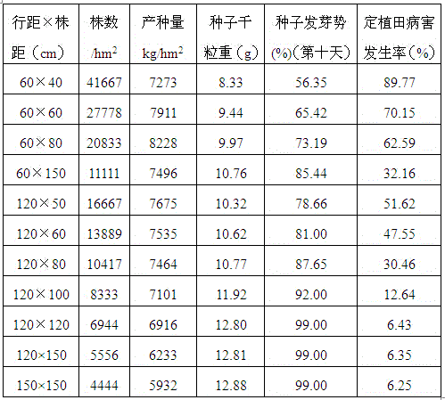 Seed collection method for vegetable burdock pure three-year seed