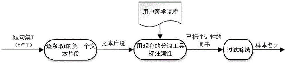 Method for structured processing of Chinese pathological text