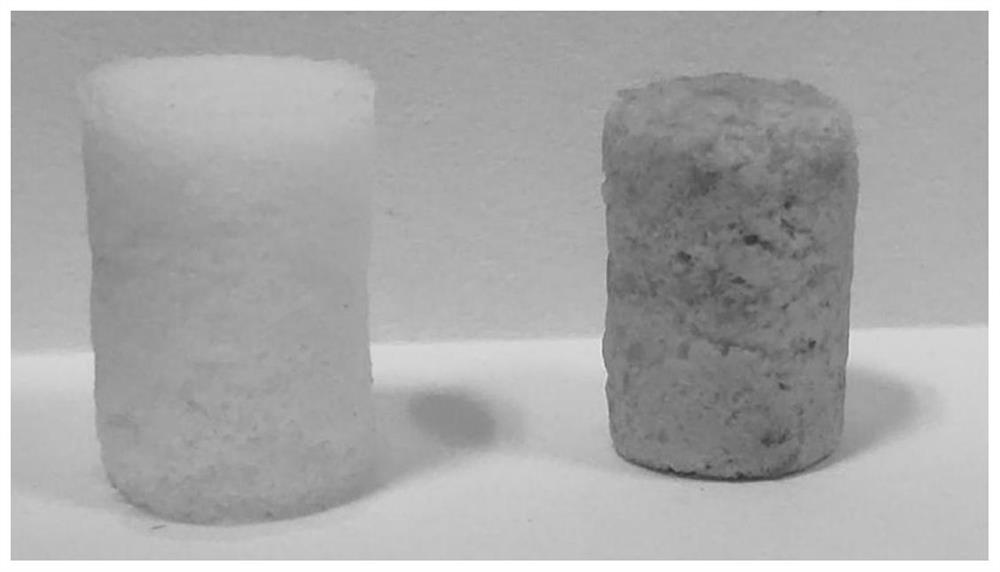 Preparation method of cellulose antibacterial material modified based on natural active component chlorogenic acid