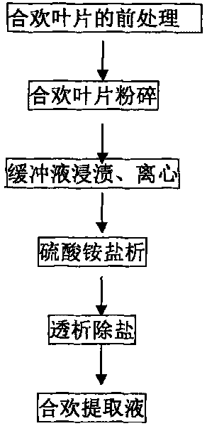 Albizzia julibrissin extracting solution and application thereof