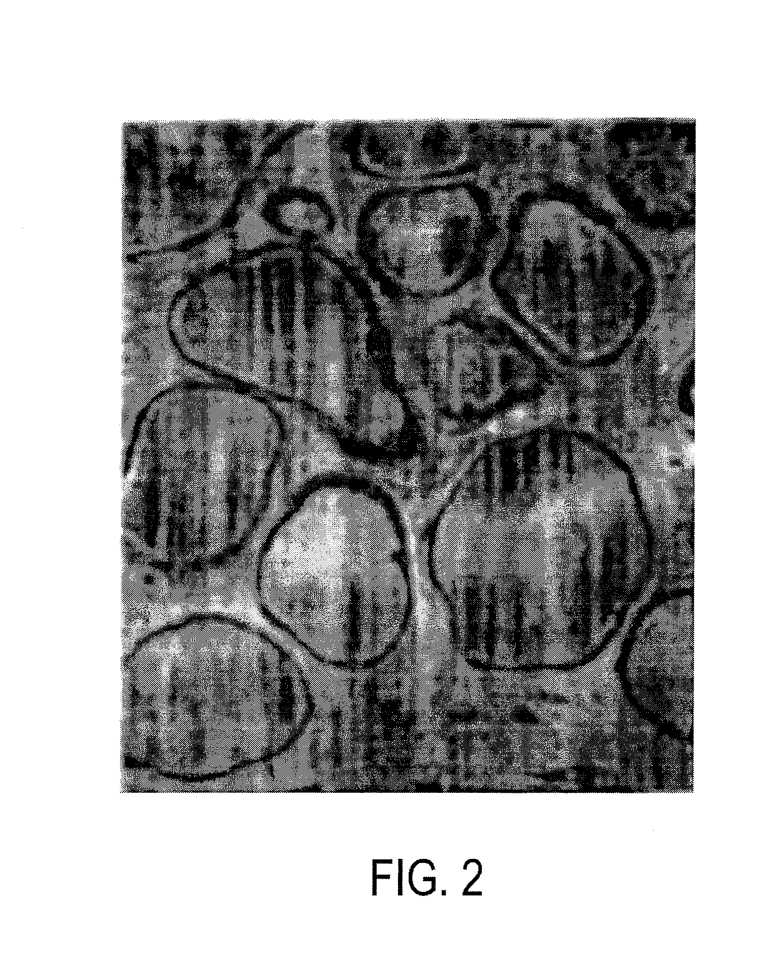 Tissue Vaccines and Uses Thereof