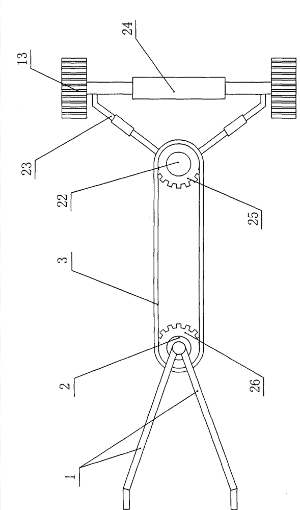 Full-automatic ginger harvester