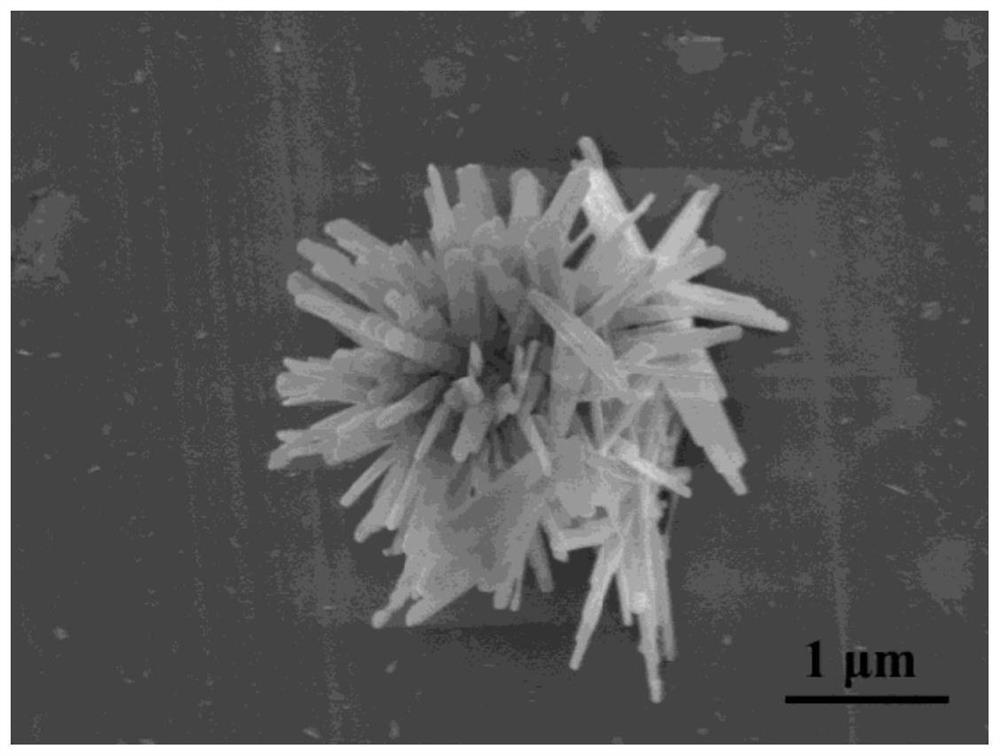 A three-dimensional flower-shaped zinc hydroxyfluoride material and its preparation method and application in gas sensing detection