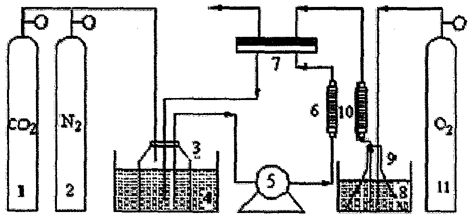 A modification method for surface etching and bonding of β-cyclodextrin to membrane artificial lung by using low-temperature plasma