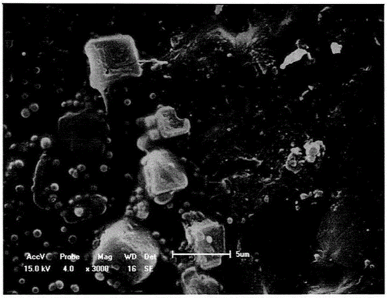 A modification method for surface etching and bonding of β-cyclodextrin to membrane artificial lung by using low-temperature plasma