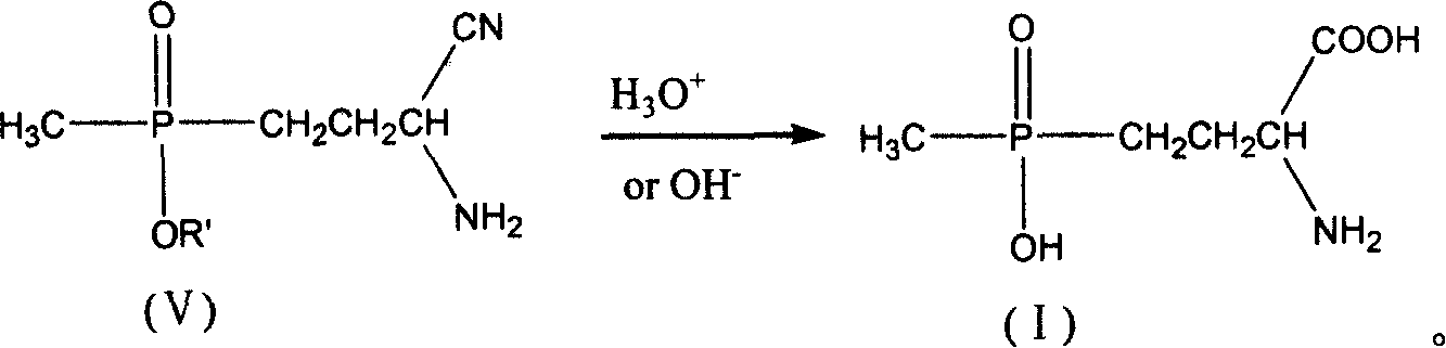 Process for preparing phosphine oxamate and its derivatives