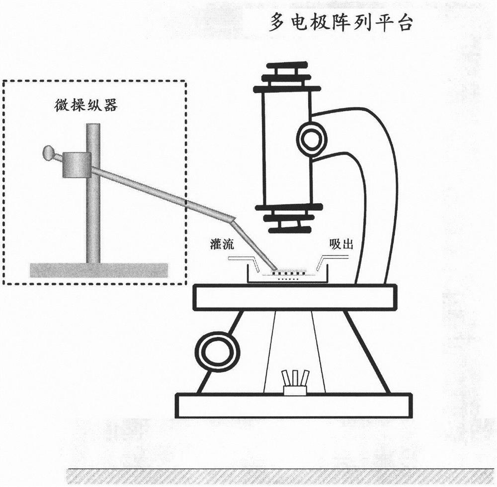 Array type in-vitro micro-magnetic stimulation device suitable for cell electrical activity regulation and control