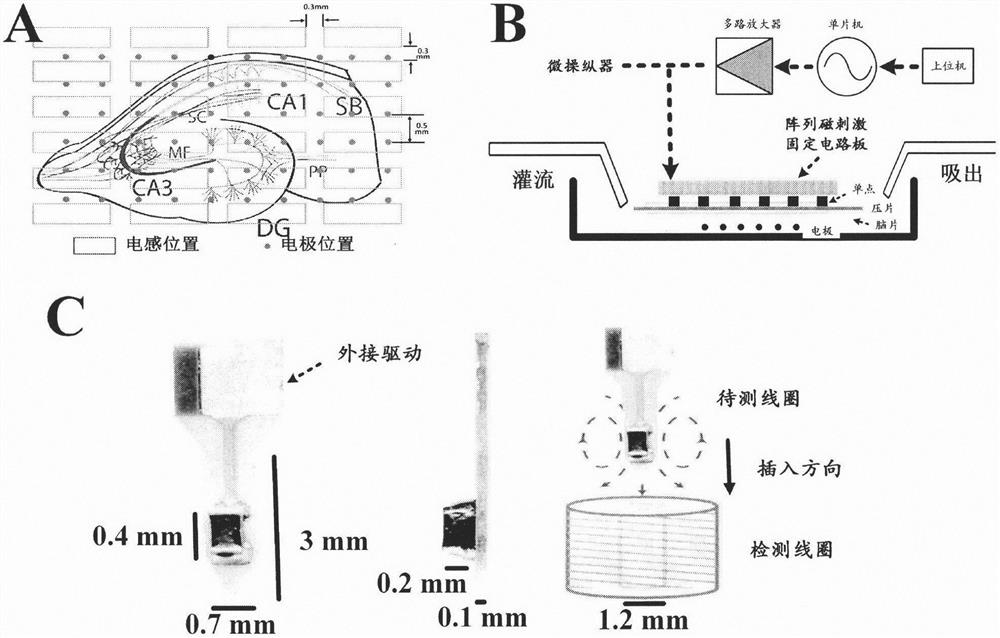 Array type in-vitro micro-magnetic stimulation device suitable for cell electrical activity regulation and control