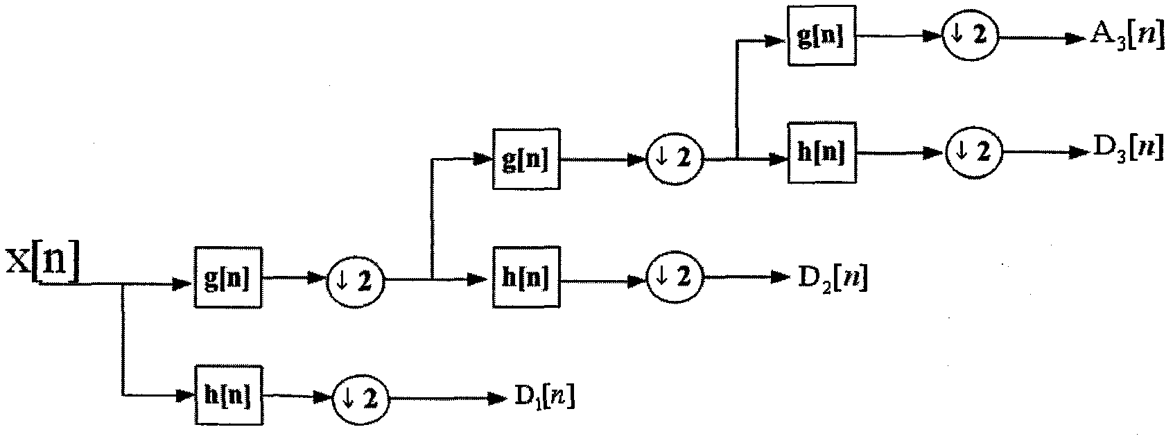 Signal processing method for distributed optical fiber vibration measurement system based on wavelet analysis