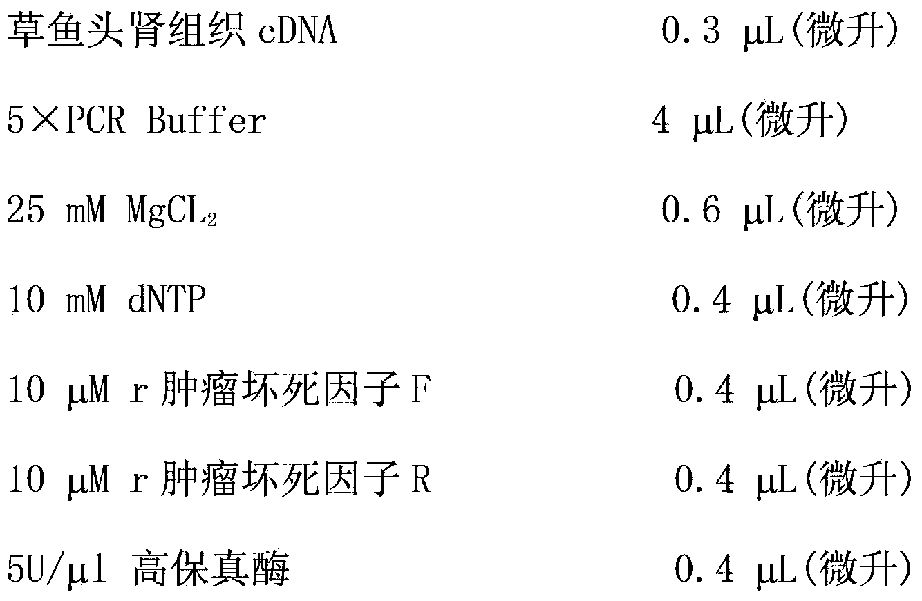 Recombinant expression method of grass carp tumor necrosis factor-alpha gene