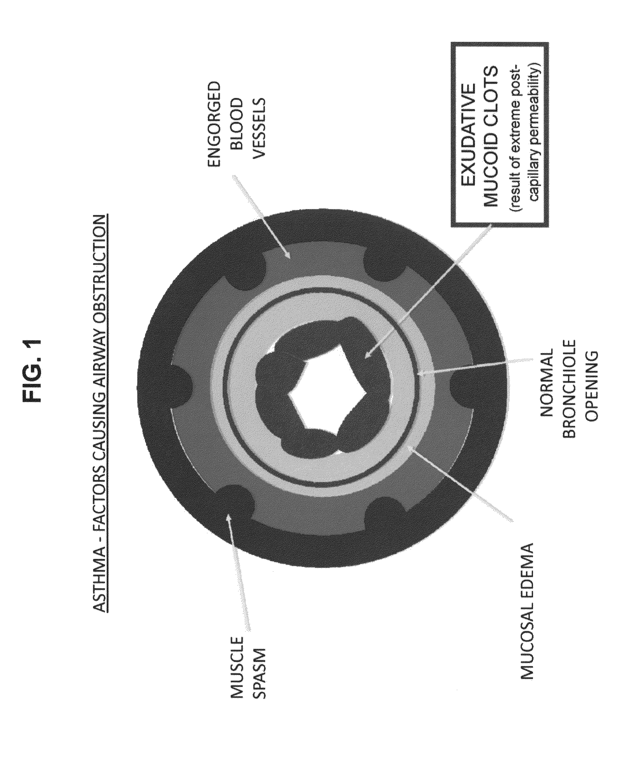 Compositions and methods for treatment of pulmonary diseases and conditions
