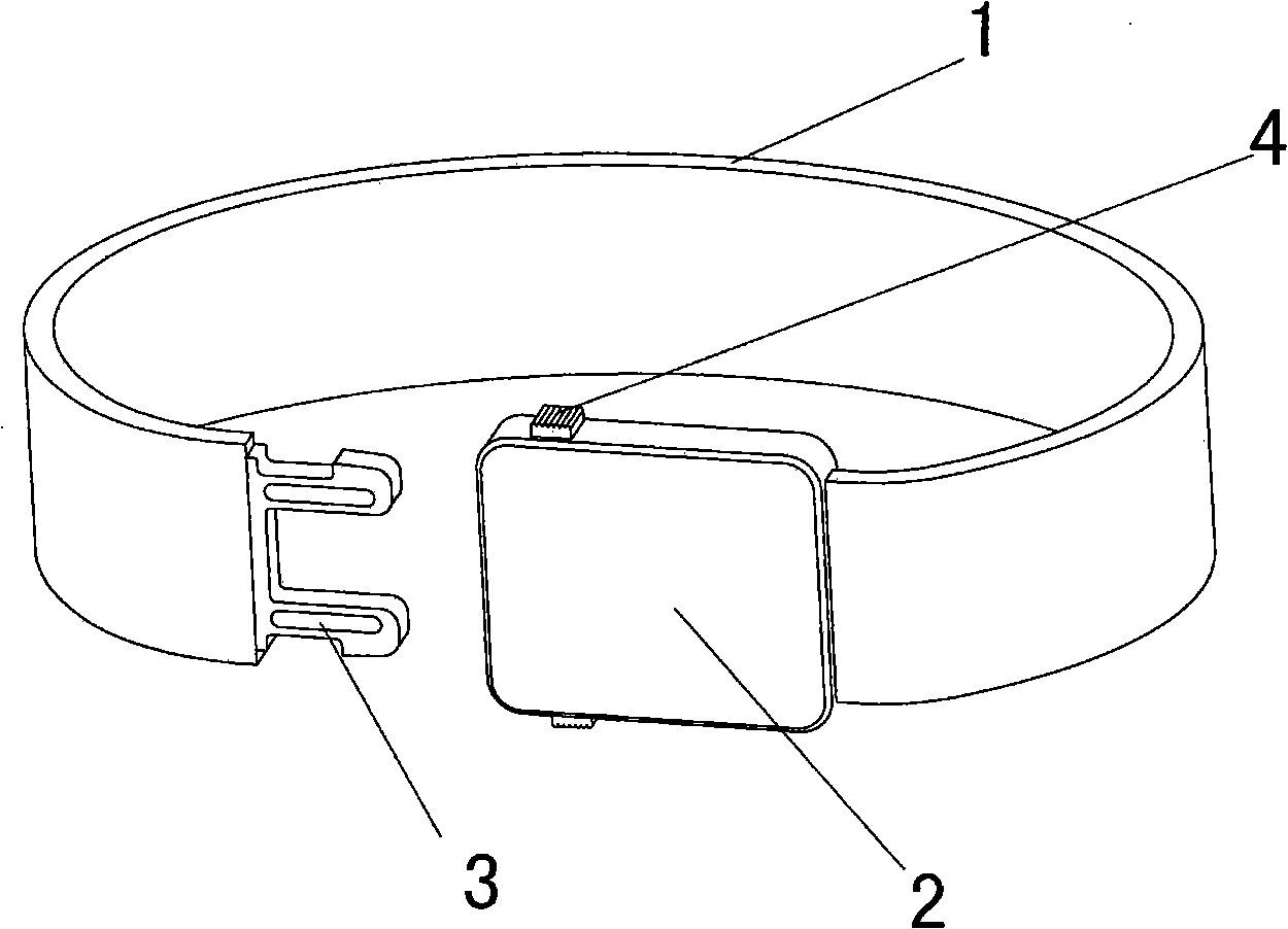 Electronic mark far distance sensing and amplifying device for animals