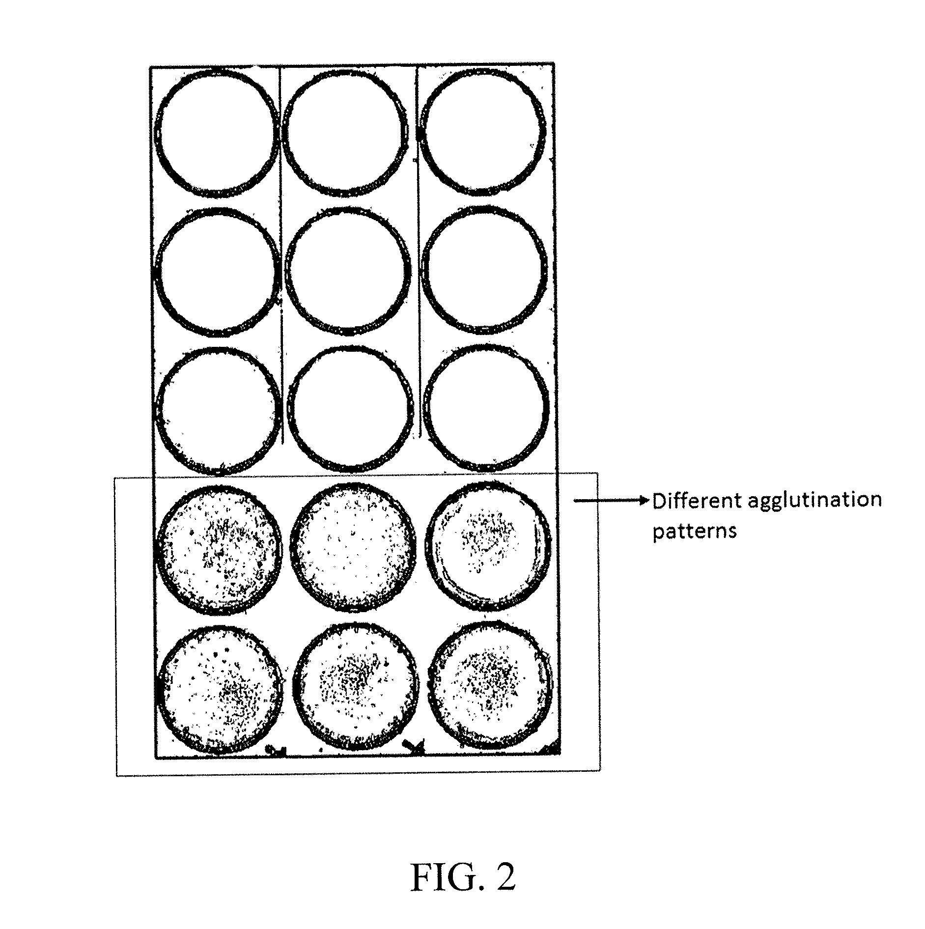 Method for analyzing image data relating to agglutination assays
