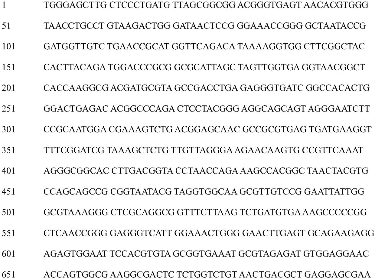 A broad-spectrum anti-phytopathogenic fungus Bacillus and its application