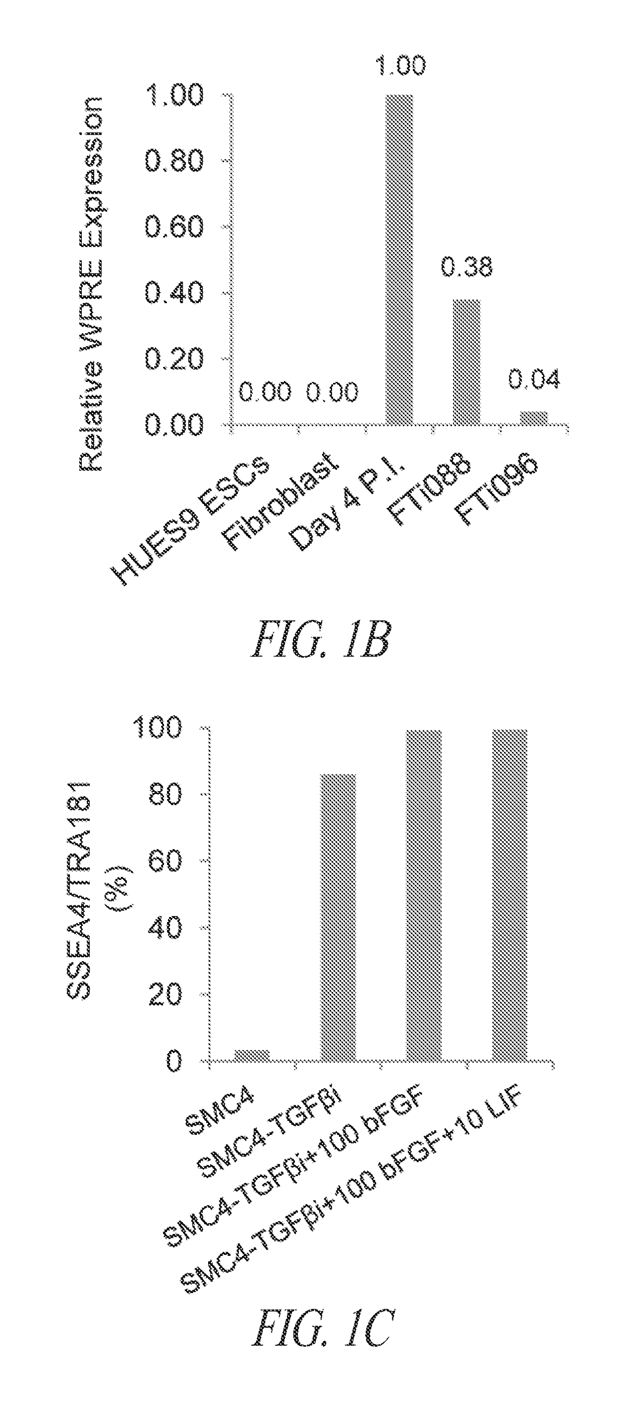 Improved reprogramming methods and cell culture platforms