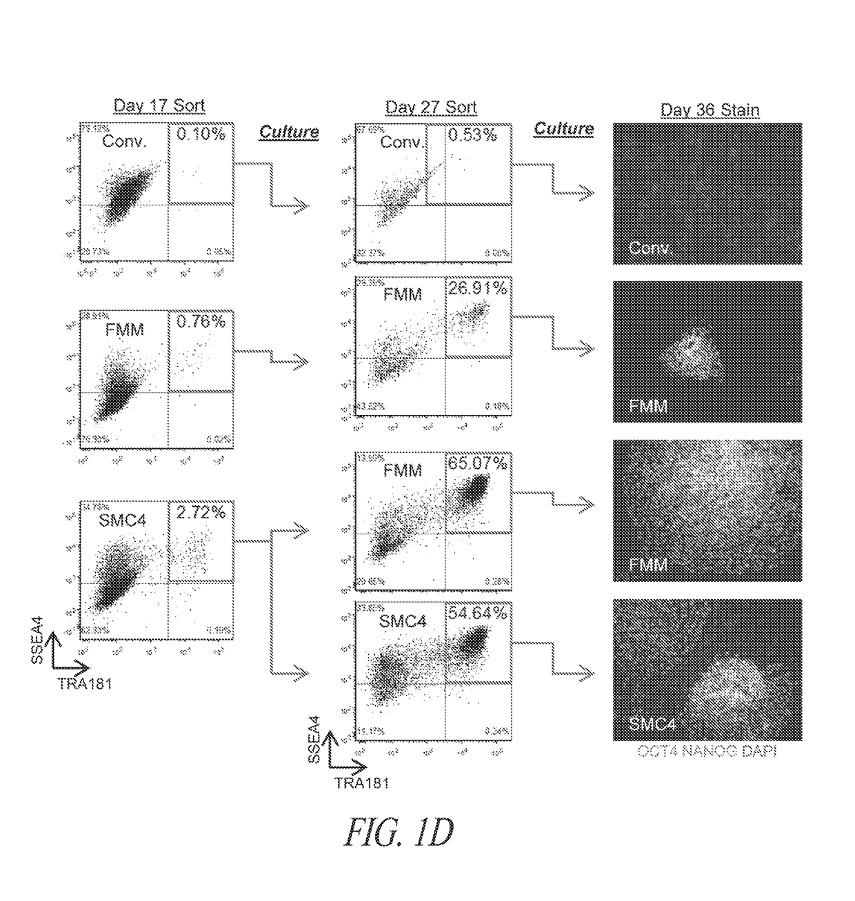 Improved reprogramming methods and cell culture platforms