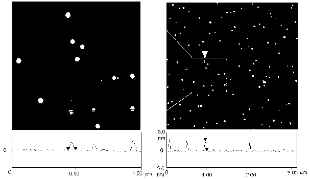 Preparation method of water-soluble fluorescence carbon nanodisk