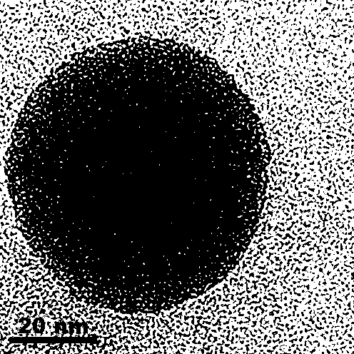 Preparation method of water-soluble fluorescence carbon nanodisk