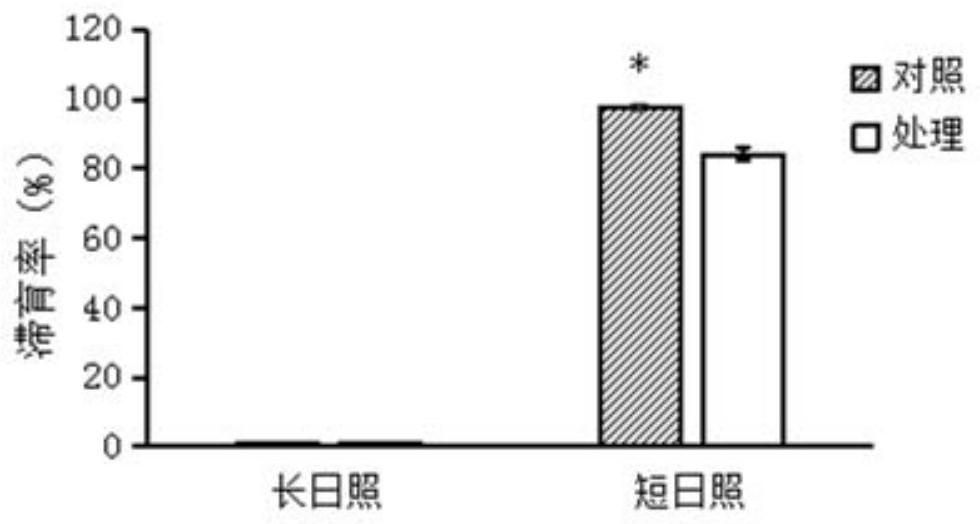 Migratory locust serine protease inhibitor 7 and its coding gene and application