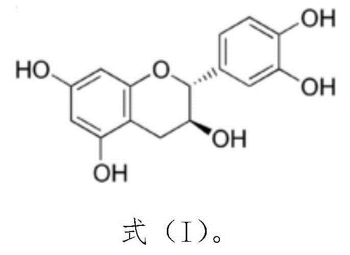 Application of drug containing catechin to preparation of drug for preventing and/or treating leukemia