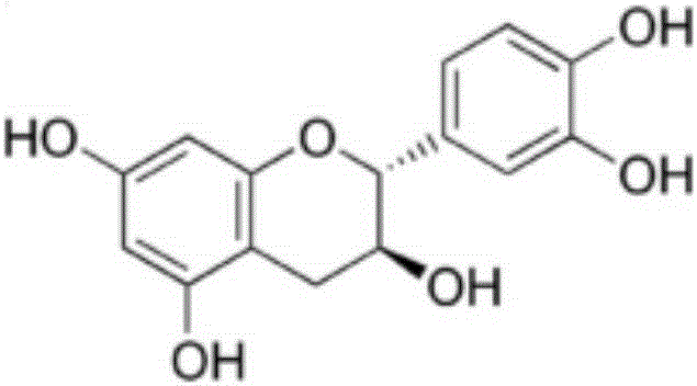 Application of drug containing catechin to preparation of drug for preventing and/or treating leukemia