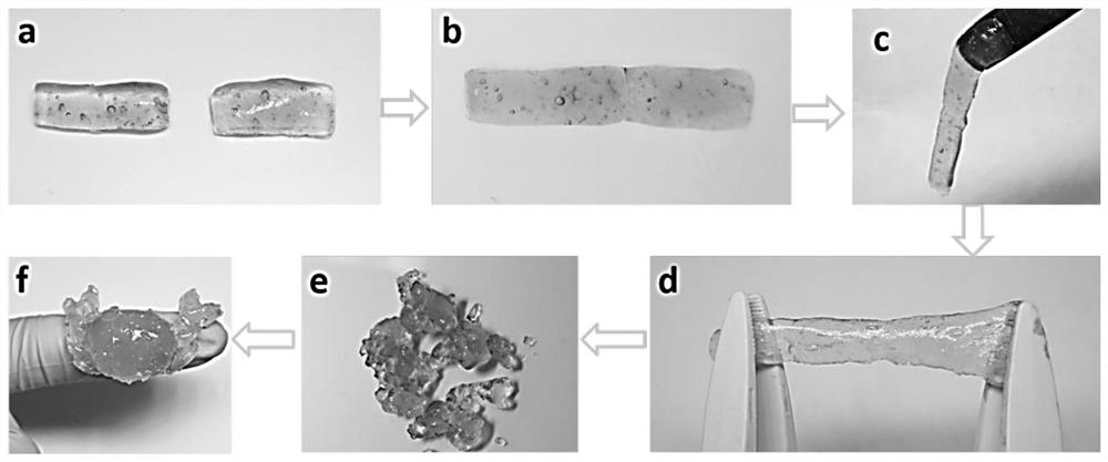 Degradable self-healing chitosan composite aldehyde guar gum hydrogel as well as preparation method and application thereof