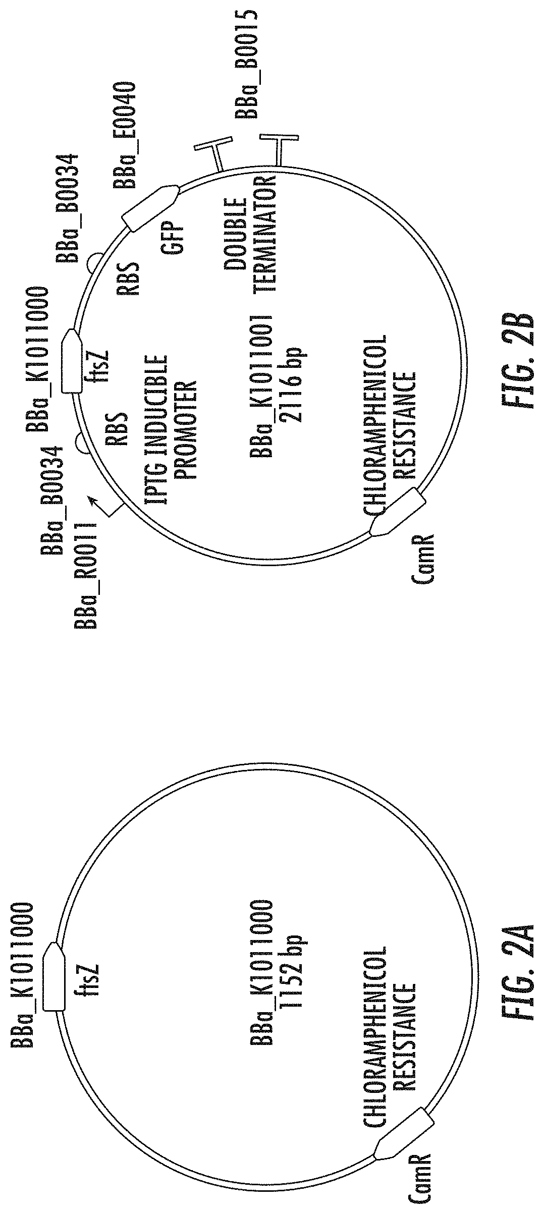 Compositions and Methods for Pesticide Degradation