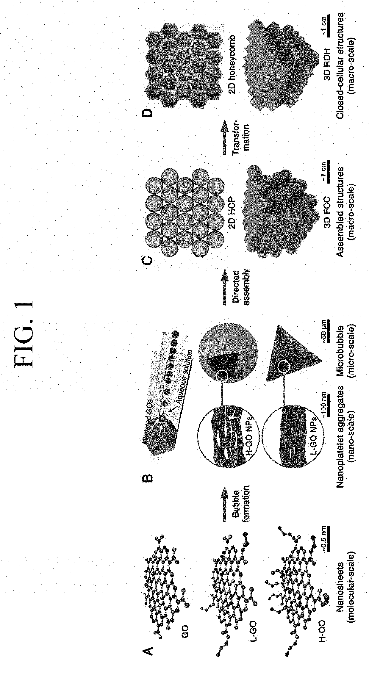 Microbubble integrated structure and method of manufacturing the same